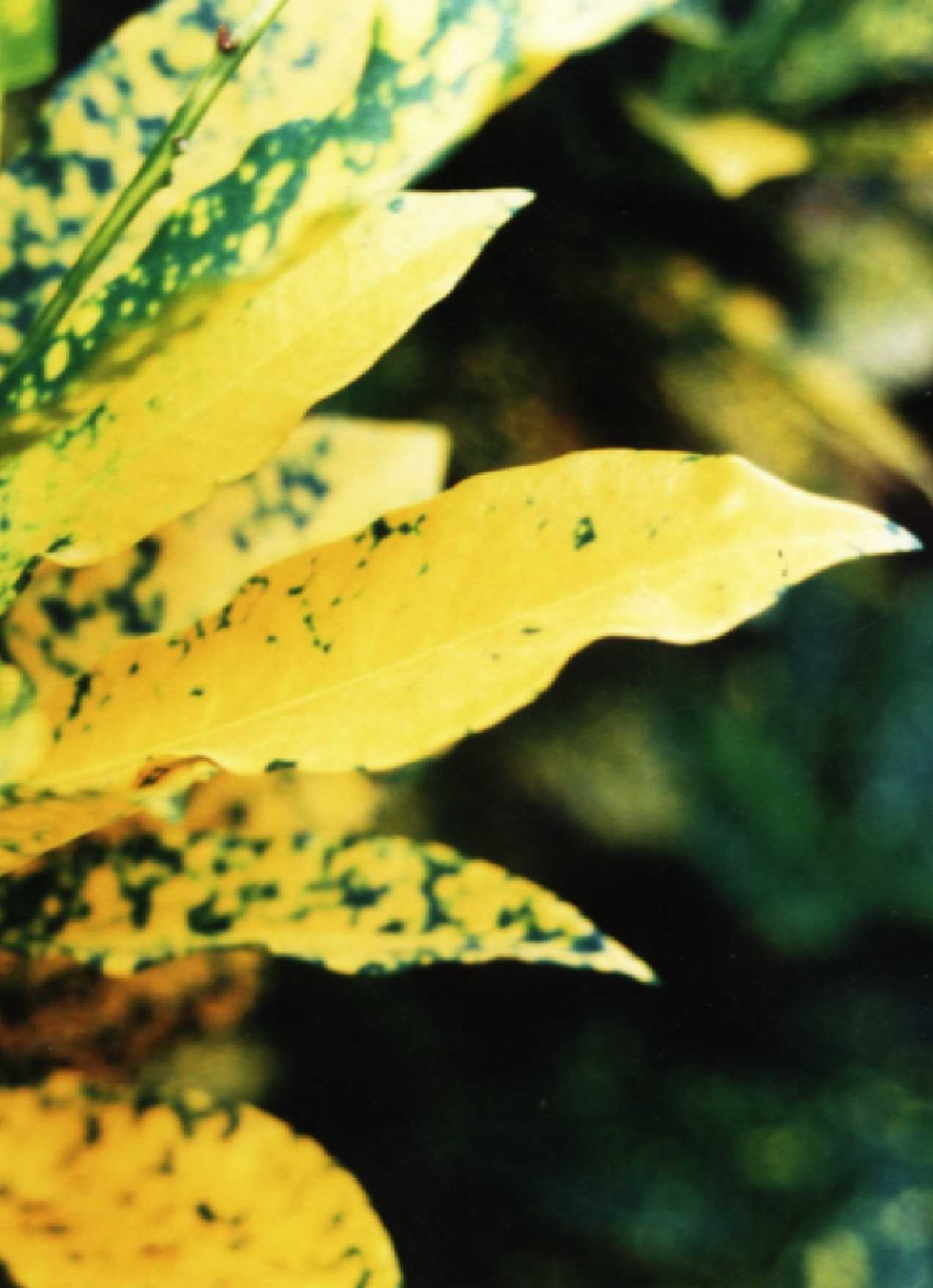 Photography by christelgrie for DesignCrowd (Community Contests) | Design #9135452