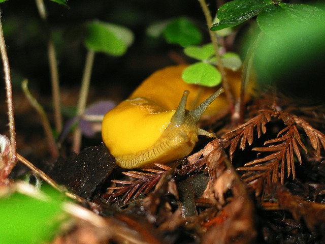 Photography by sns1953 for DesignCrowd (Community Contests) | Design #9135440