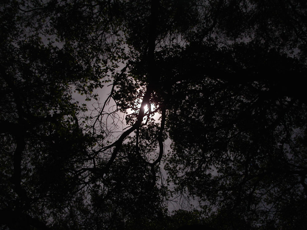 Photography by isaidwhat for DesignCrowd (Community Contests) | Design #9136910