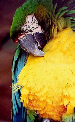 Photography by ALS14213 for DesignCrowd (Community Contests) | Design #9135482
