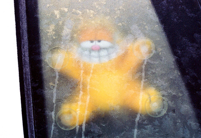 Photography by Jealousy for DesignCrowd (Community Contests) | Design #9135463