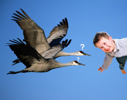 Design Photoshop par tummalap pour DesignCrowd (Community Contests) | Design #9140401