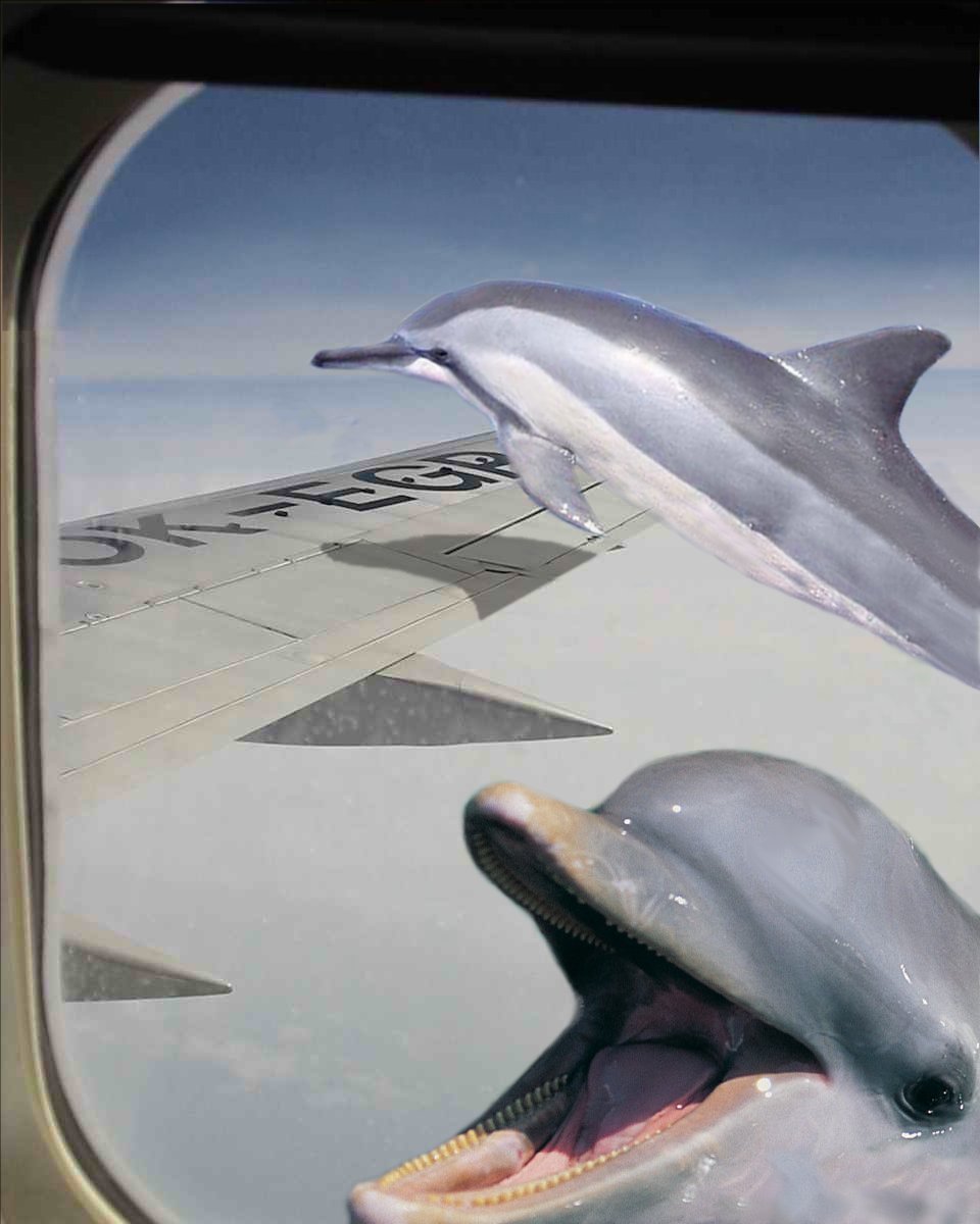 Photoshop-Design von Garsaelon für DesignCrowd (Community Contests) | Design #9140431