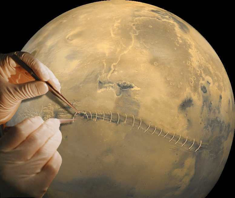 Photoshop-Design von Scashin für DesignCrowd (Community Contests) | Design #9112691