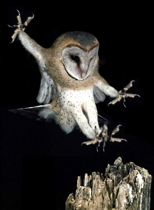 Diseño de Photoshop por fRedline para DesignCrowd (Community Contests) | Diseño #9140413