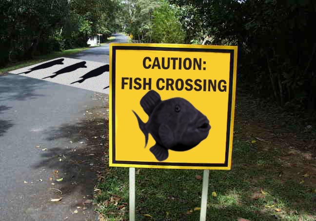 Photoshop-Design von moges für DesignCrowd (Community Contests) | Design #9121663