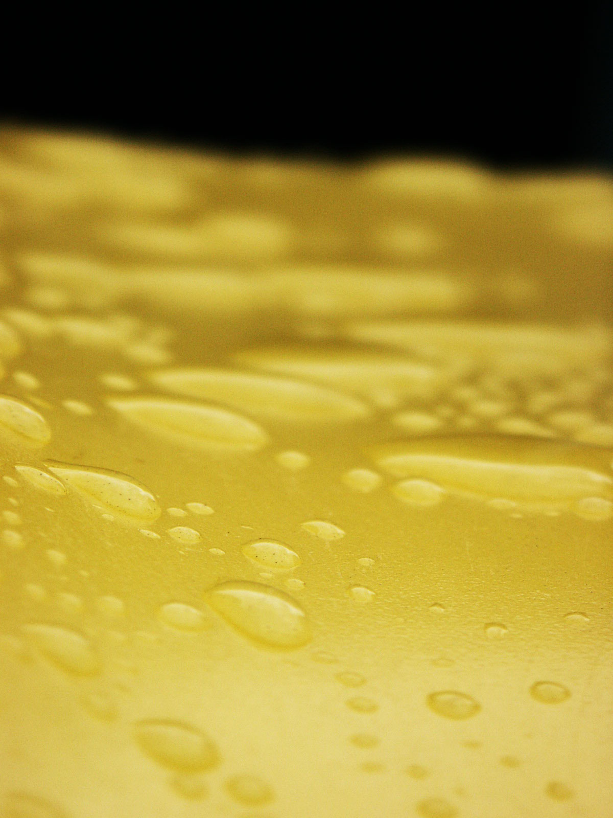 Photography by RealMeert for DesignCrowd (Community Contests) | Design #9135570