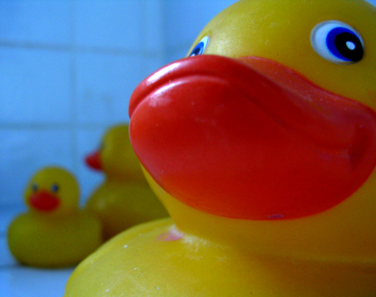 Photographie par Trinity-of-One pour DesignCrowd (Community Contests) | Design #9135533