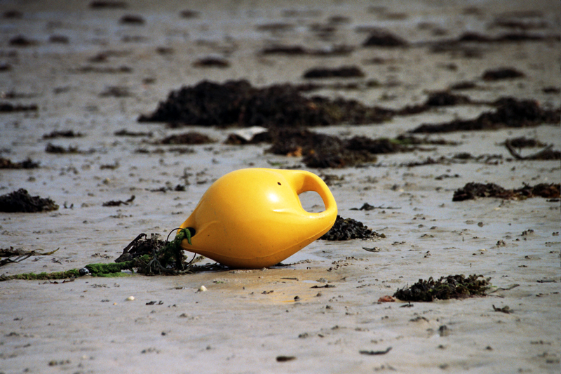 Photography by goblin for DesignCrowd (Community Contests) | Design #9135544