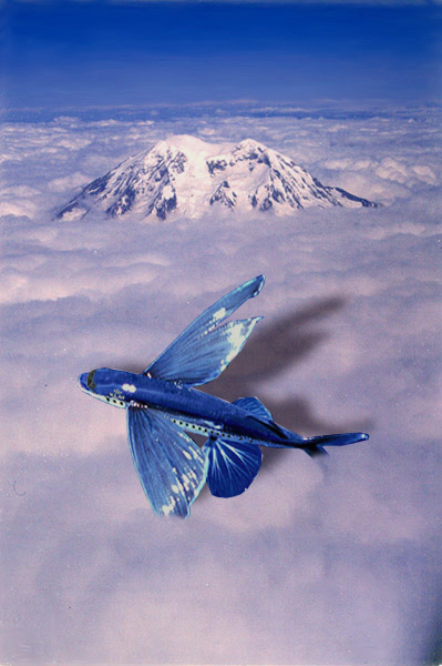 Photoshop-Design von Stephie für DesignCrowd (Community Contests) | Design #9121778