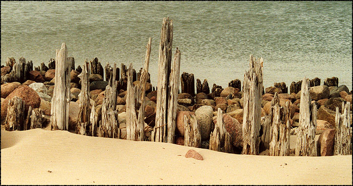 Fotografía por Jealousy para DesignCrowd (Community Contests) | Diseño #9112864