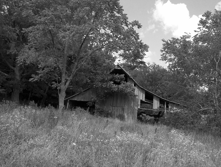 Photography by wwjdbk for DesignCrowd (Community Contests) | Design #9112874