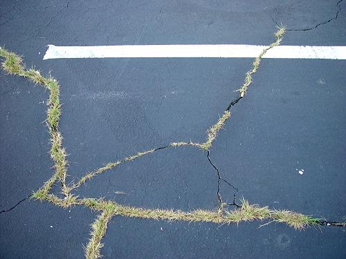 Fotografía por tummalap para DesignCrowd (Community Contests) | Diseño #9112879