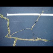 Photography by tummalap