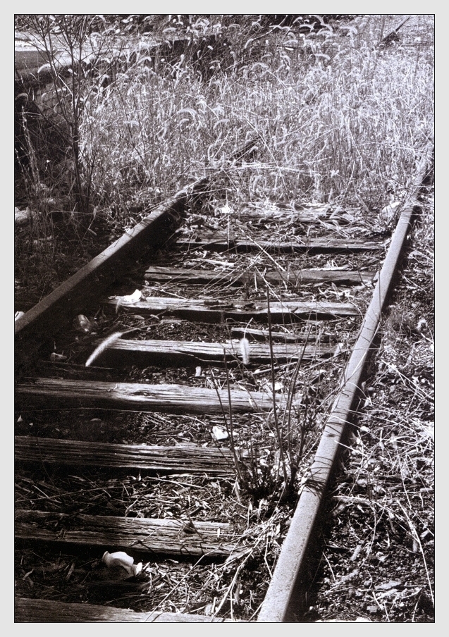 Photography by Maximilian for DesignCrowd (Community Contests) | Design #9112911