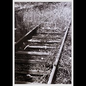 Photography by Maximilian