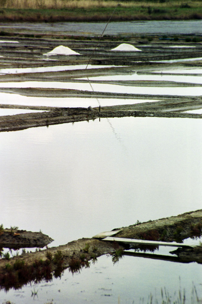 Photography by Warny for DesignCrowd (Community Contests) | Design #9138706