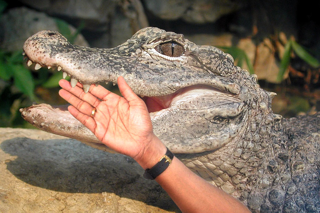 Photoshop Design by hektor for DesignCrowd (Community Contests) | Design #9133900