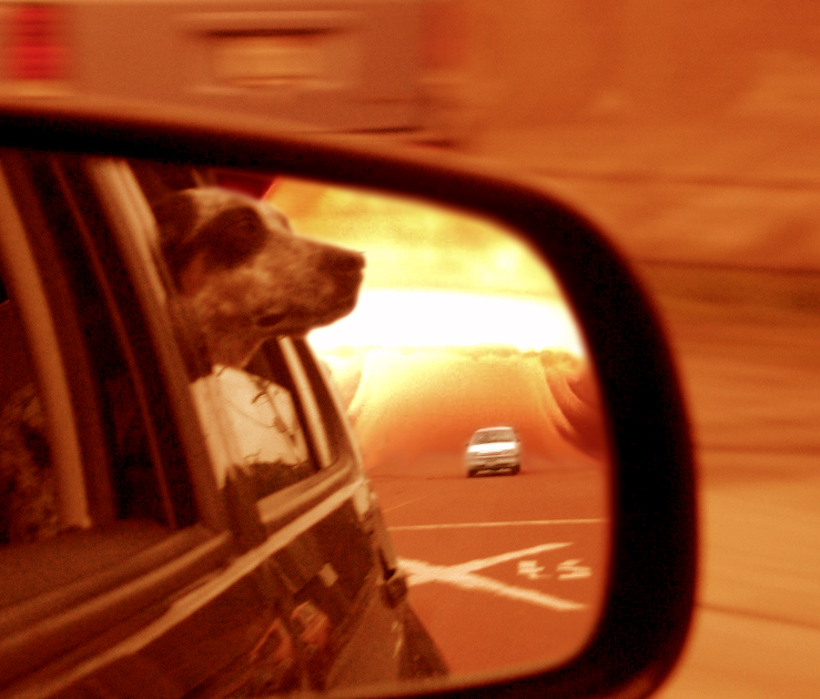 Photoshop Design by Pavel_87_BANNED for DesignCrowd (Community Contests) | Design #9133896