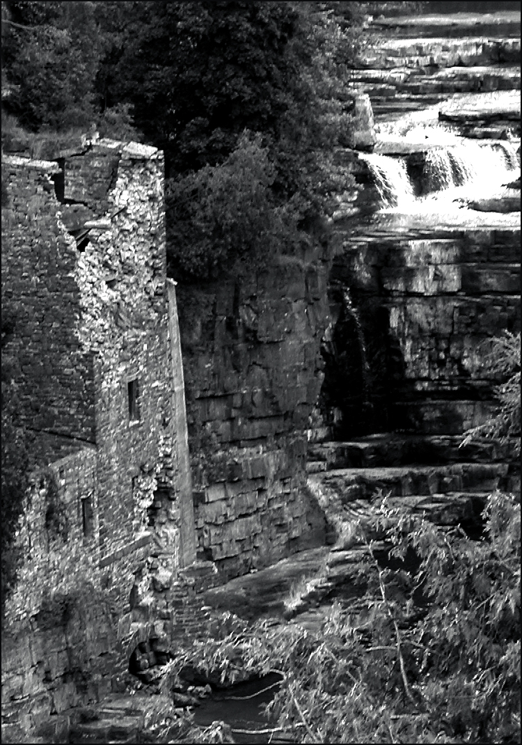 Photography by jmbaggs for DesignCrowd (Community Contests) | Design #9112929