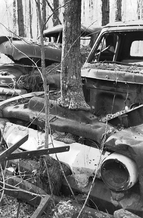 Photography by Cybrian for DesignCrowd (Community Contests) | Design #9112924