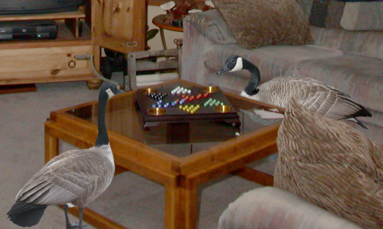 Photoshop Design by iammatt for DesignCrowd (Community Contests) | Design #9107623