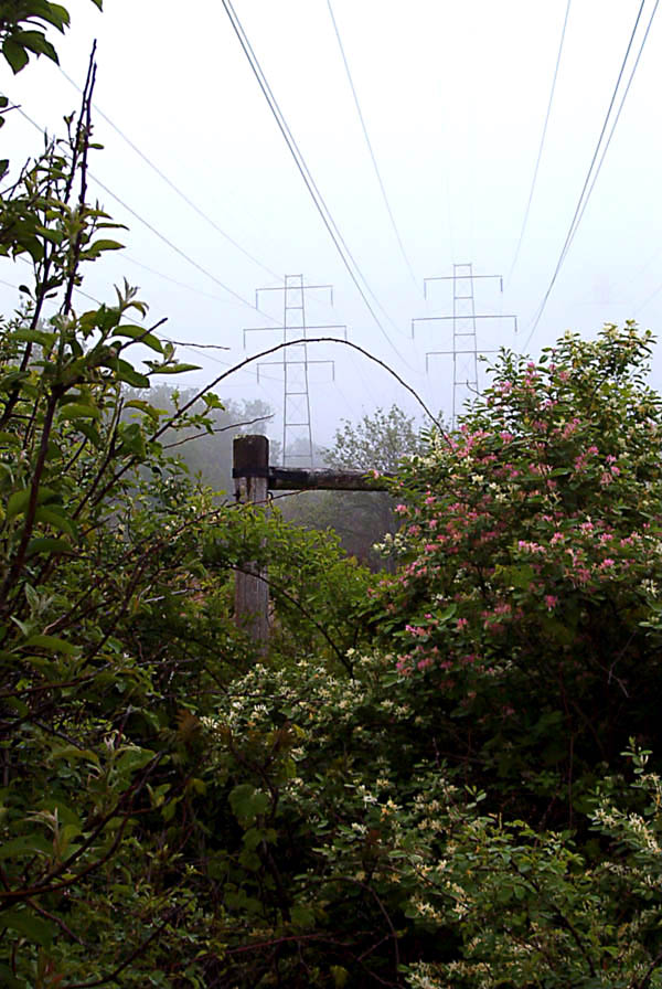 Photography by JavaMoose for DesignCrowd (Community Contests) | Design #9112990