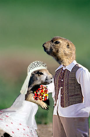 Design Photoshop par IRISFBI pour DesignCrowd (Community Contests) | Design #9112110