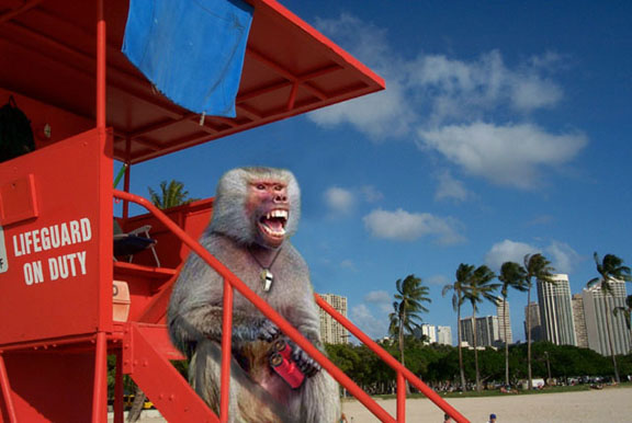 Photoshop Design by rdk for DesignCrowd (Community Contests) | Design #9107672