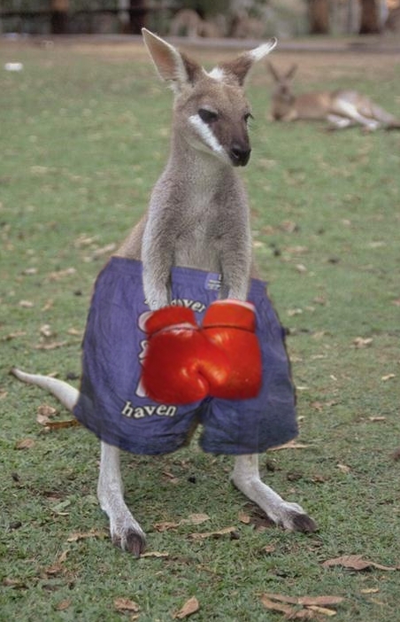 Design Photoshop par Jondor pour DesignCrowd (Community Contests) | Design #9112108