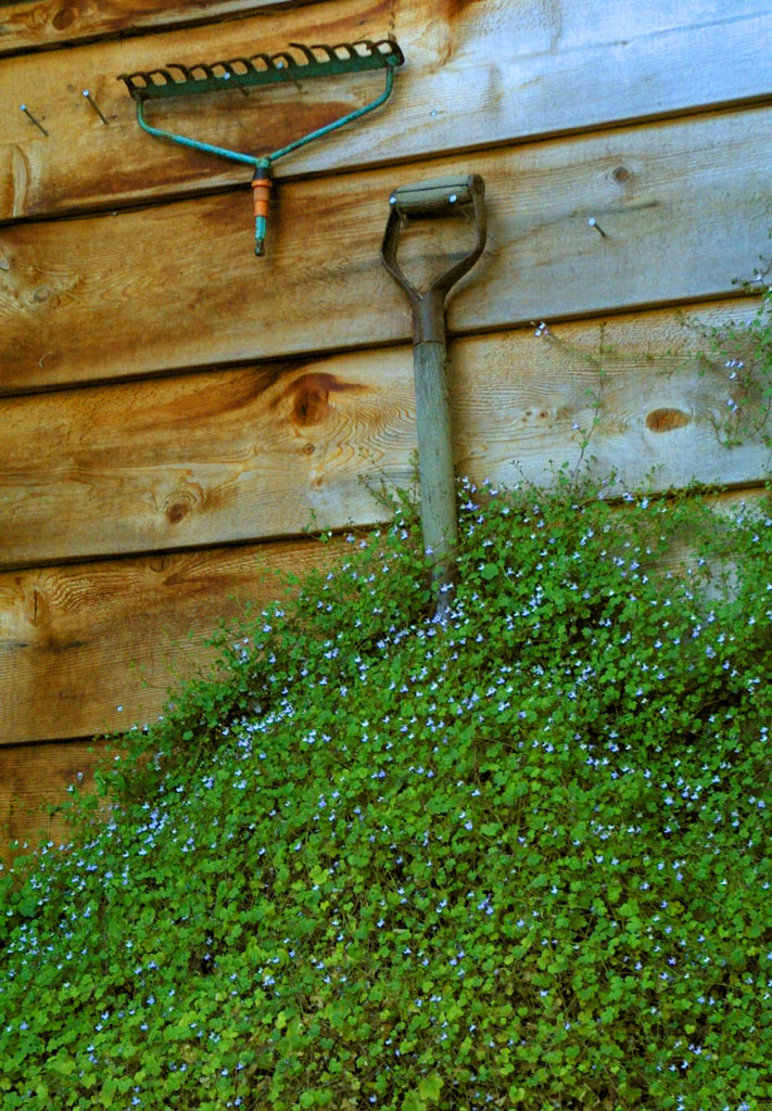 Fotografie von dejetz für DesignCrowd (Community Contests) | Design #9113017