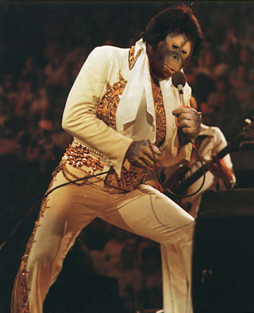 Photoshop Design by digsRus for DesignCrowd (Community Contests) | Design #9107684