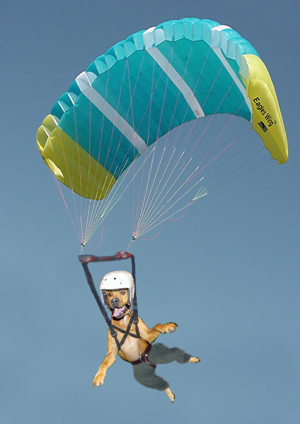 Diseño de Photoshop por alpcos para DesignCrowd (Community Contests) | Diseño #9112131