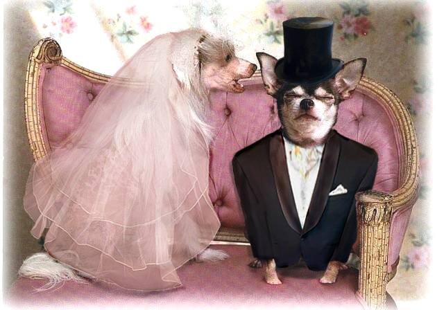 Diseño de Photoshop por LesKellert para DesignCrowd (Community Contests) | Diseño #9112159