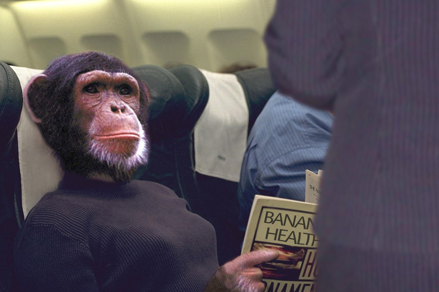 Photoshop Design by hipnoart for DesignCrowd (Community Contests) | Design #9112139