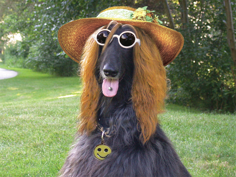 Photoshop Design by hektor for DesignCrowd (Community Contests) | Design #9112162