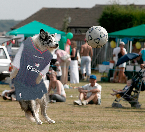 Diseño de Photoshop por catchlight para DesignCrowd (Community Contests) | Diseño #9112170