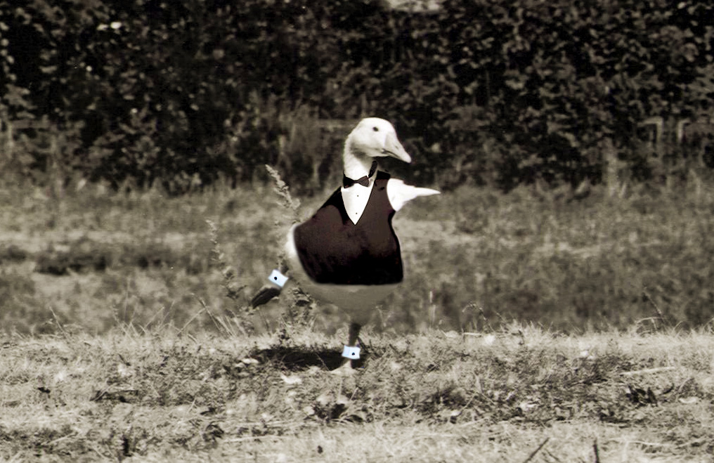 Design Photoshop par SkyEWR pour DesignCrowd (Community Contests) | Design #9112189