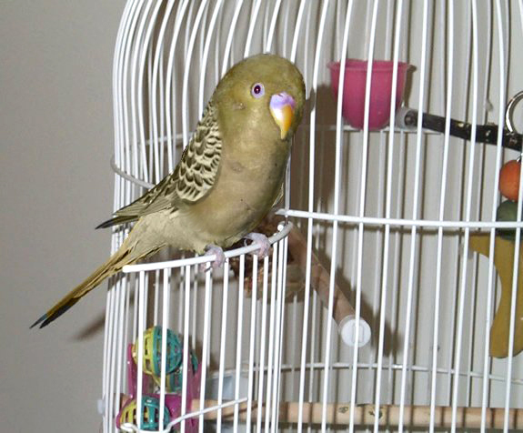 Design Photoshop par Trinity-of-One pour DesignCrowd (Community Contests) | Design #9135184