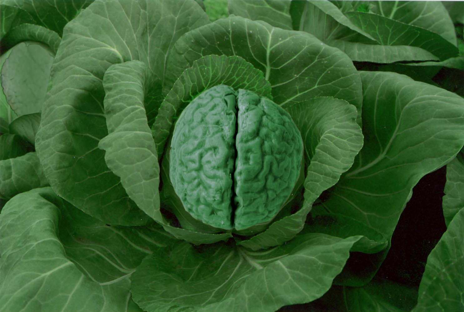 Design Photoshop par justdave pour DesignCrowd (Community Contests) | Design #9135192