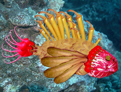 Photoshop Design by atinados for DesignCrowd (Community Contests) | Design #9135222