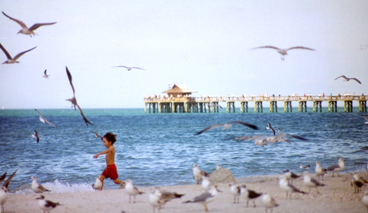 Photography by dollyllama for DesignCrowd (Community Contests) | Design #9137075