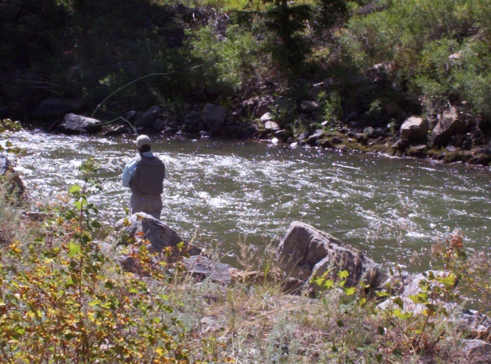 Photography by Spook for DesignCrowd (Community Contests) | Design #9137078