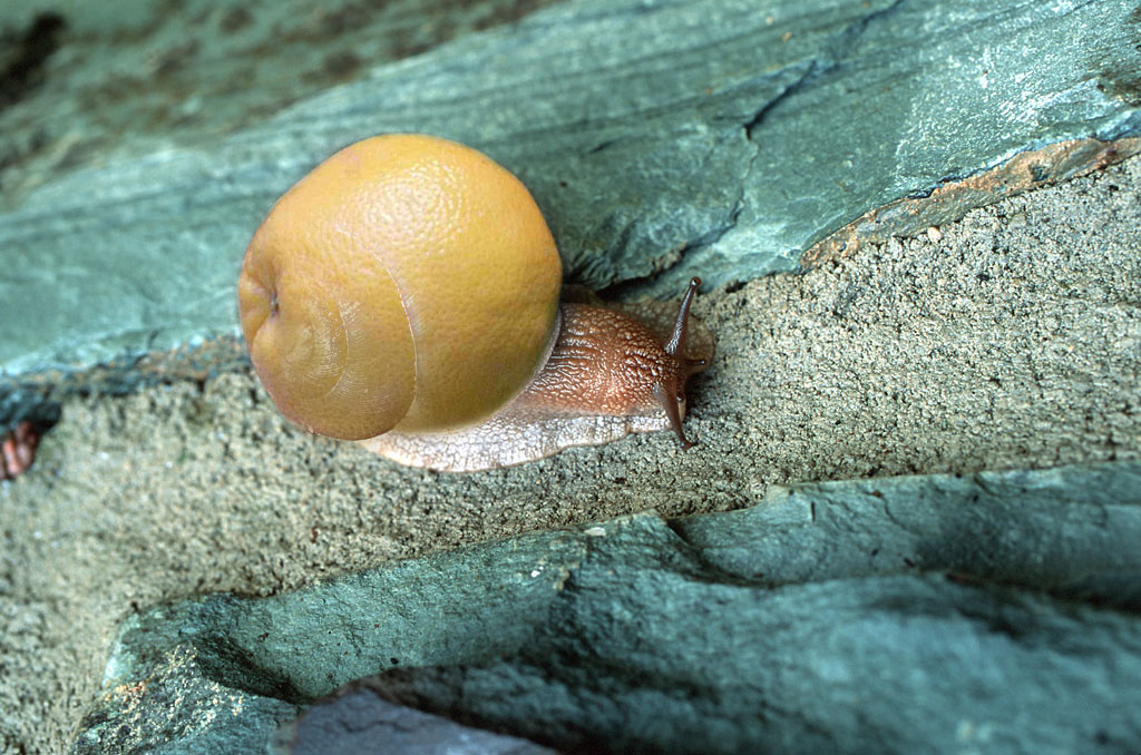 Photoshop Design by ThaDux for DesignCrowd (Community Contests) | Design #9135237