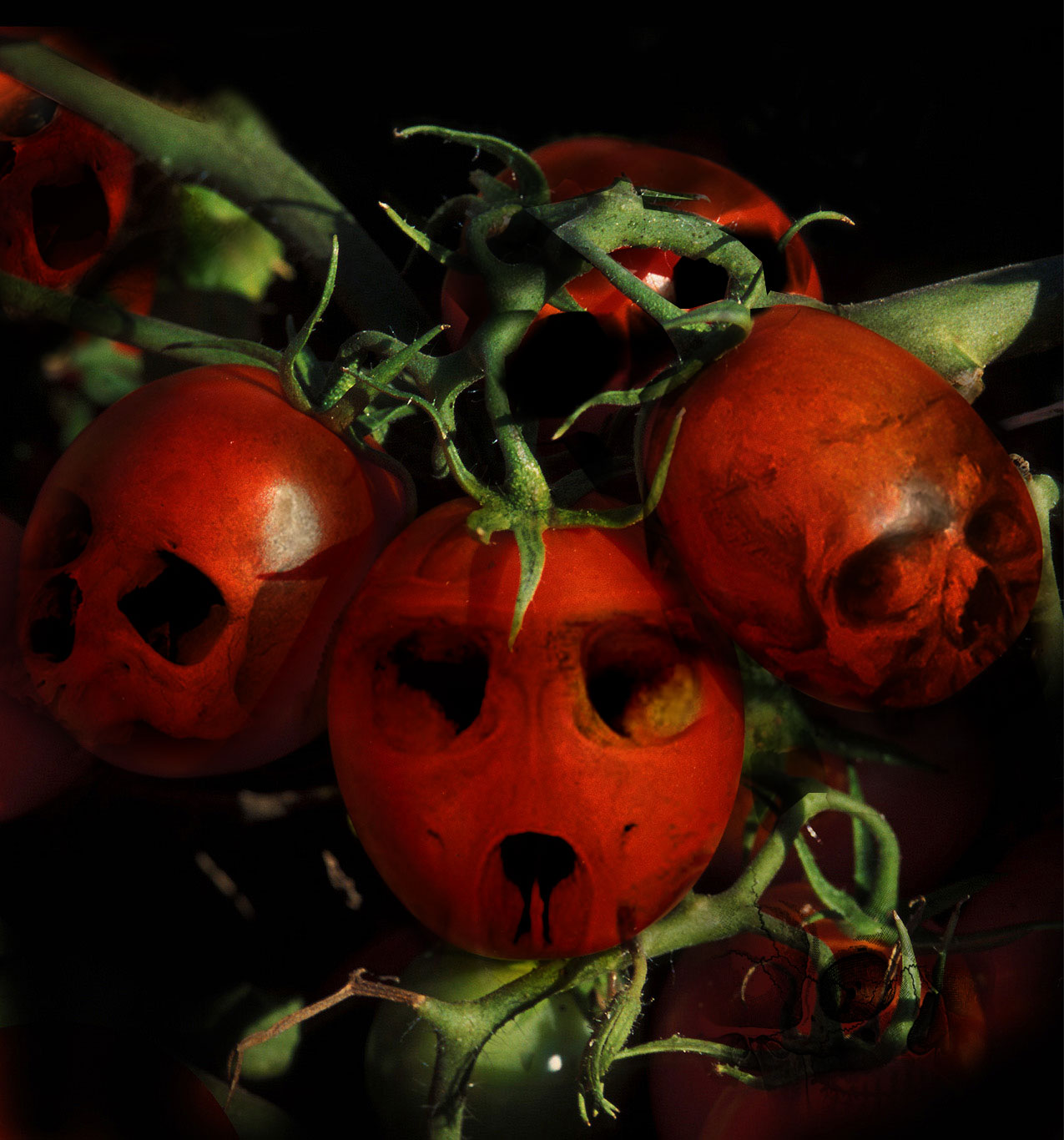 Diseño de Photoshop por Dunga2_BANNED para DesignCrowd (Community Contests) | Diseño #9135292