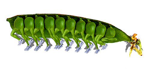 Photoshop Design by Redstar for DesignCrowd (Community Contests) | Design #9135276