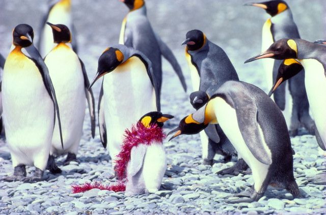 Design Photoshop par tummalap pour DesignCrowd (Community Contests) | Design #9121691