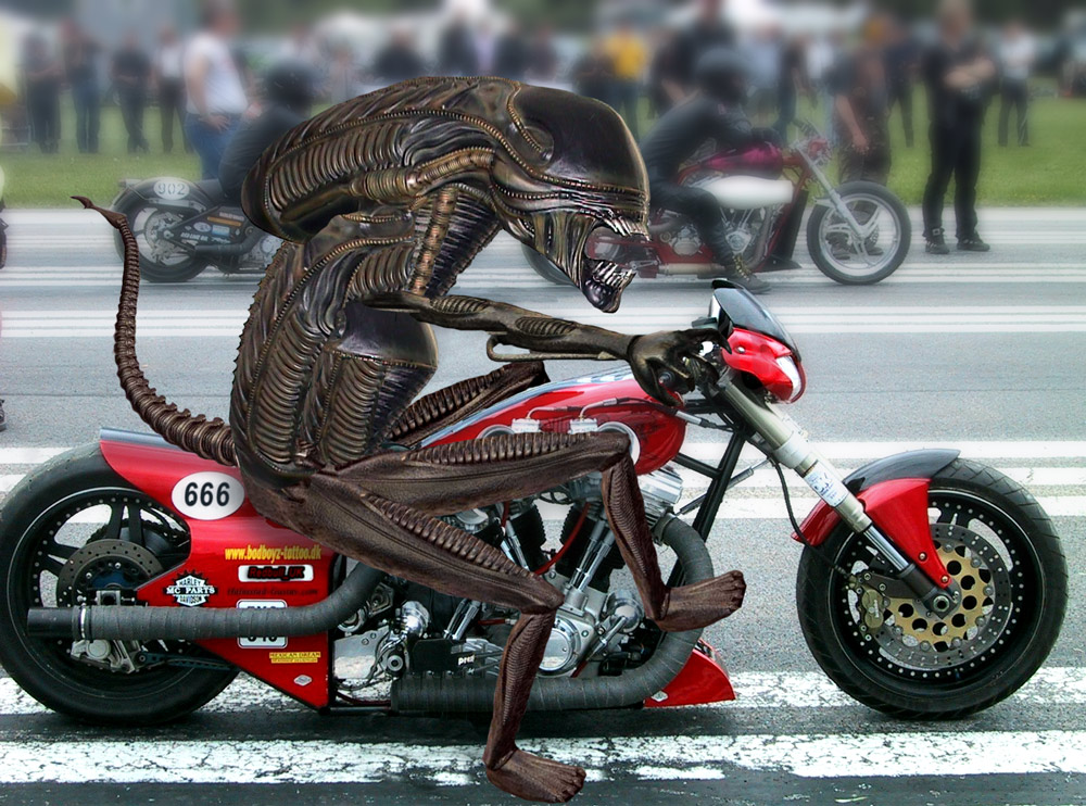 Diseño de Photoshop por Redbull_UK para DesignCrowd (Community Contests) | Diseño #9139819