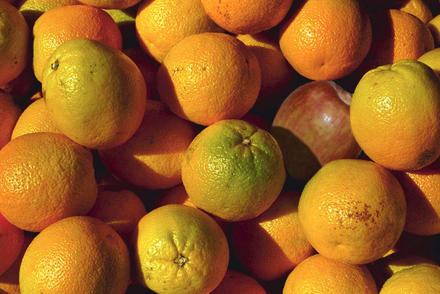 Photoshop Design by bruceleroy for DesignCrowd (Community Contests) | Design #9121849