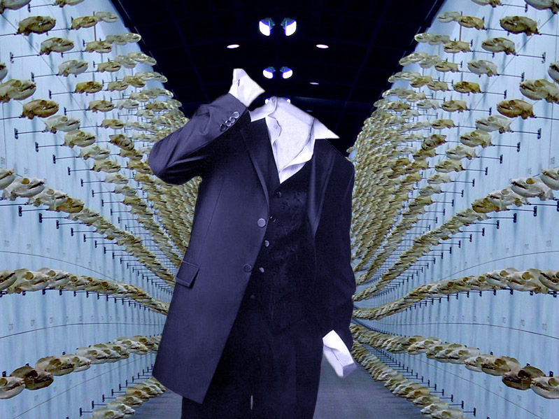 Photoshop Design by stevenj for DesignCrowd (Community Contests) | Design #9109610